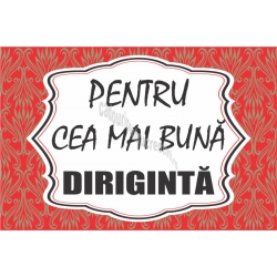 Magnet personalizat, Pentru cea mai buna Diriginta!